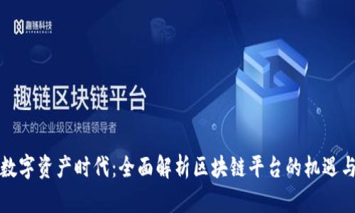 畅游数字资产时代：全面解析区块链平台的机遇与挑战