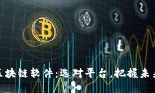 探秘区块链软件：选对平台，把握未来机遇