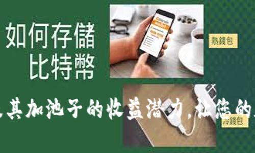 揭秘TP钱包及其加池子的收益潜力，让您的数字资产增值
