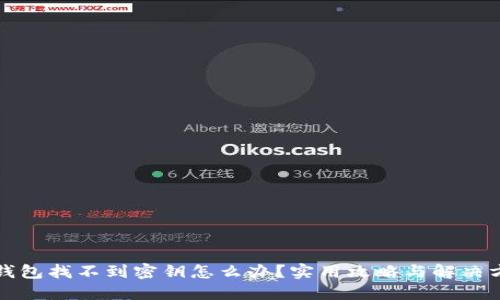 TP钱包找不到密钥怎么办？实用攻略与解决方案