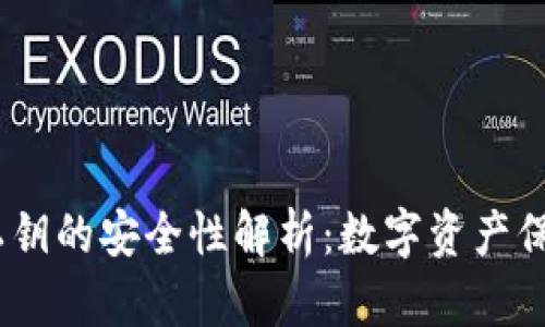 t p钱包私钥的安全性解析：数字资产保护的关键
