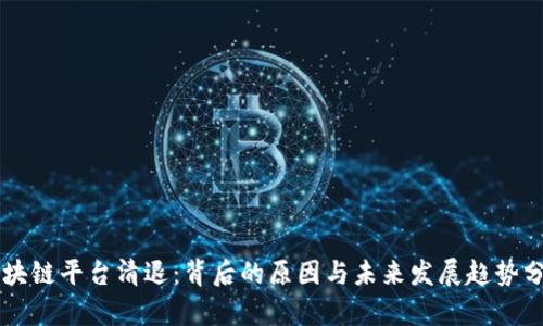 区块链平台清退：背后的原因与未来发展趋势分析