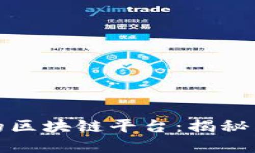 探索世界上最震撼的区块链平台：揭秘未来数字经济的基石