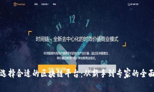如何选择合适的区块链平台：从新手到专家的全面指南