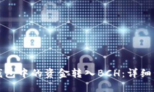 如何将TP钱包中的资金转入BCH：详细步骤与技巧