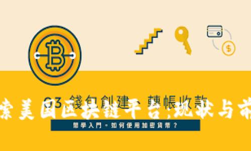 探索美国区块链平台：现状与前景