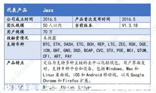 
探索区块链币投资平台：新手必知的投资指南与风险解析