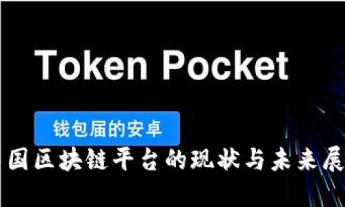 中国区块链平台的现状与未来展望