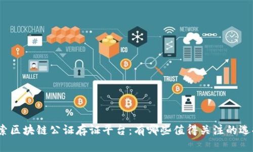 探索区块链公证存证平台：有哪些值得关注的选择？