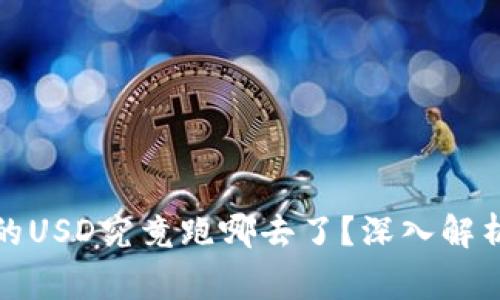 TP钱包闪兑的USD究竟跑哪去了？深入解析与常见问题