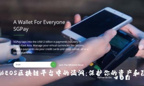揭秘EOS区块链平台中的漏洞：保护你的资产和隐私