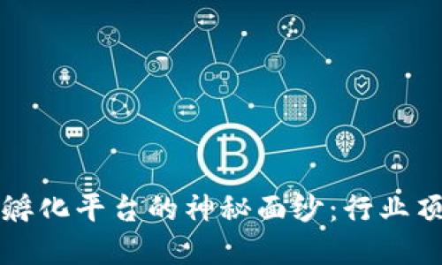 揭开区块链孵化平台的神秘面纱：行业顶尖公司一览