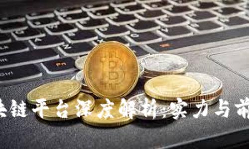 万向区块链平台深度解析：实力与前景如何？