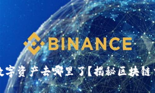 TP钱包转出的数字资产去哪里了？揭秘区块链交易背后的秘密