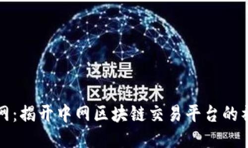 畅游中网：揭开中网区块链交易平台的神秘面纱
