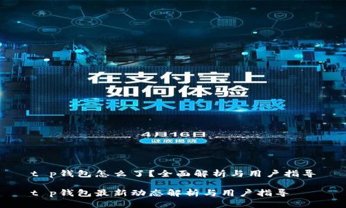 t p钱包怎么了？全面解析与用户指导

t p钱包最新动态解析与用户指导