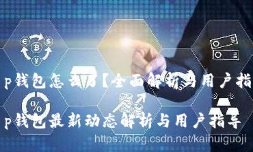 t p钱包怎么了？全面解析与用户指导

t p钱包最新动态解析与用户指导