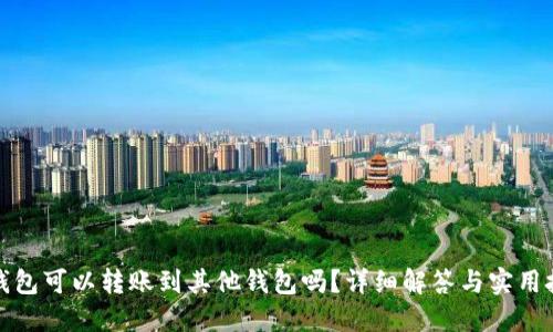 TP钱包可以转账到其他钱包吗？详细解答与实用技巧