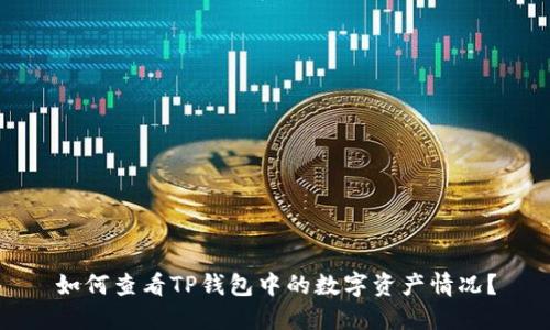 如何查看TP钱包中的数字资产情况？