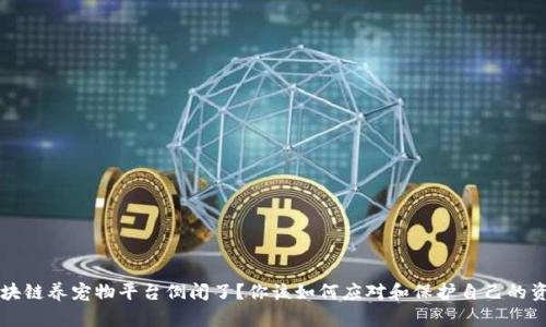 区块链养宠物平台倒闭了？你该如何应对和保护自己的资产
