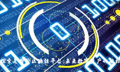 探索麦哲伦区块链平台：未来数字资产的航标