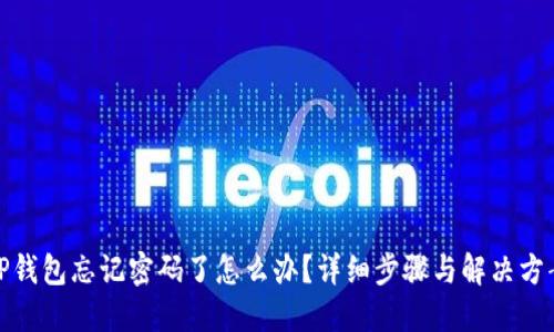 TP钱包忘记密码了怎么办？详细步骤与解决方案