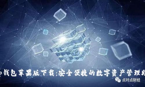 t p钱包苹果版下载：安全便捷的数字资产管理助手