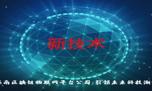 海南区块链物联网平台公司：引领未来科技潮流