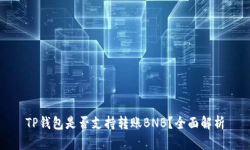 TP钱包是否支持转账BNB？全面解析