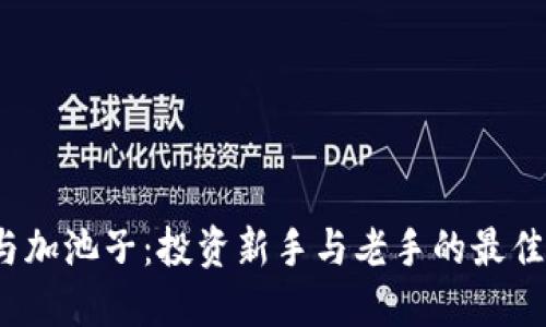 TP钱包与加池子：投资新手与老手的最佳选择吗？