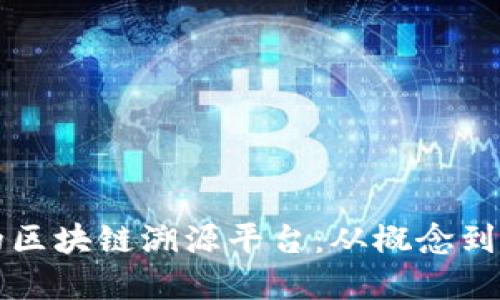 如何设计高效的区块链溯源平台：从概念到实施的全面指南