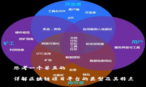 思考一个并且的

详解区块链项目平台的类型及其特点