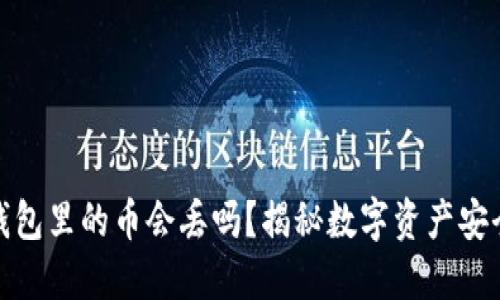 TP钱包里的币会丢吗？揭秘数字资产安全性