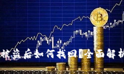TP钱包USDT被盗后如何找回？全面解析与应对策略