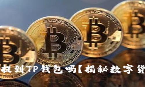 所有币都可以提到TP钱包吗？揭秘数字货币存储的真相
