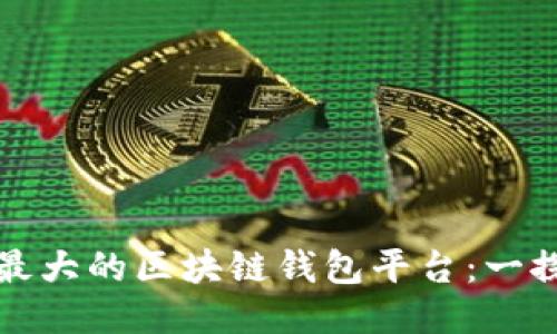 全球最大的区块链钱包平台：一探究竟