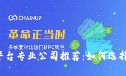 区块链购物平台专业公司推荐：如何选择合适的平台？