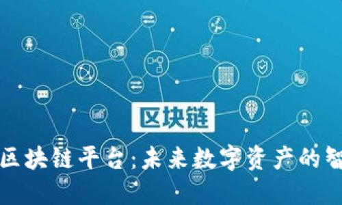 深入探讨比特元区块链平台：未来数字资产的智能管理解决方案