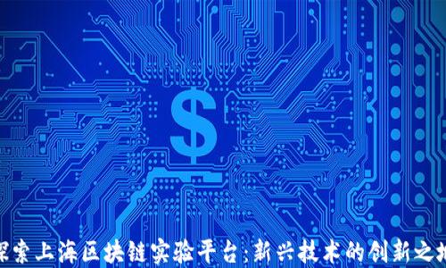 
探索上海区块链实验平台：新兴技术的创新之地