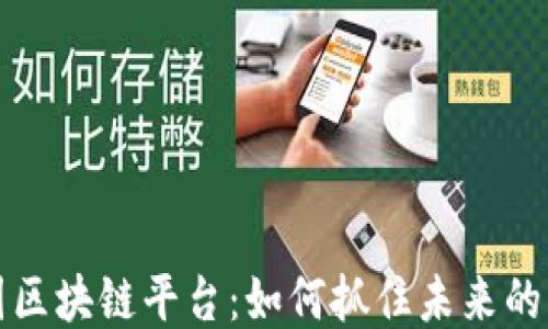 
探秘中国区块链平台：如何抓住未来的无限可能