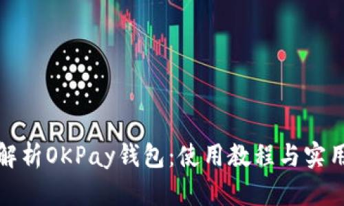 全面解析OKPay钱包：使用教程与实用技巧