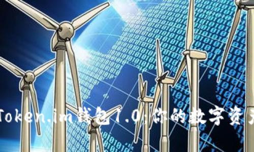 全面解析Token.im钱包1.0：你的数字资产安全助手