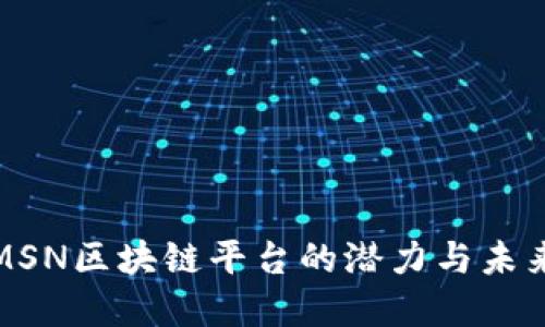 探索MSN区块链平台的潜力与未来发展