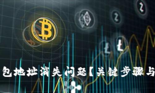 如何解决TP钱包地址消失问题？关键步骤与注意事项解析