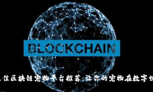 2023年最佳区块链宠物平台推荐：让你的宠物在数字世界中闪耀
