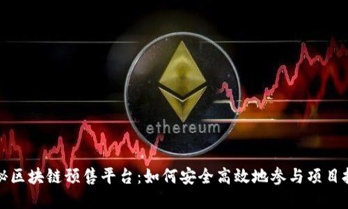 揭秘区块链预售平台：如何安全高效地参与项目投资