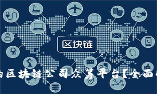 如何选择合适的区块链公司众筹平台？全面解析与最佳实践