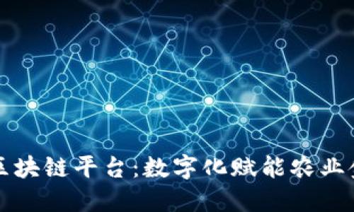 农业金融区块链平台：数字化赋能农业金融的未来
