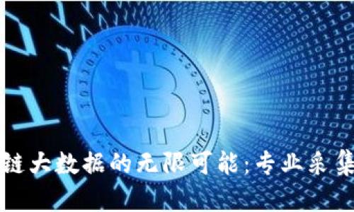 探索区块链大数据的无限可能：专业采集平台官网