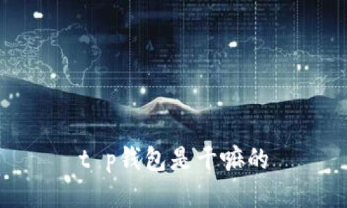t p钱包是干嘛的